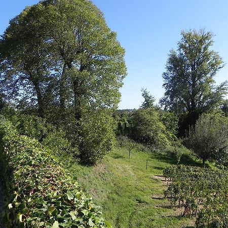 Chateau Belles Graves Bed and Breakfast Pomérols Εξωτερικό φωτογραφία
