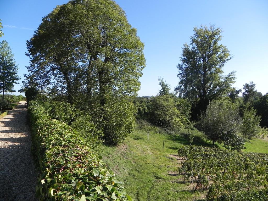 Chateau Belles Graves Bed and Breakfast Pomérols Εξωτερικό φωτογραφία
