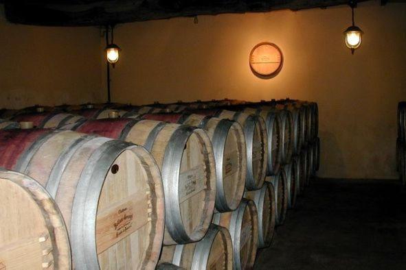 Chateau Belles Graves Bed and Breakfast Pomérols Εξωτερικό φωτογραφία