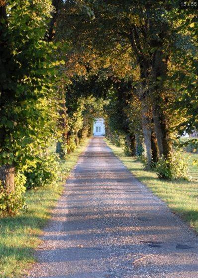 Chateau Belles Graves Bed and Breakfast Pomérols Εξωτερικό φωτογραφία