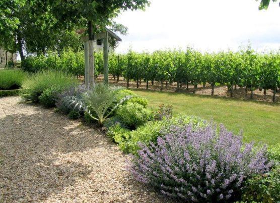 Chateau Belles Graves Bed and Breakfast Pomérols Εξωτερικό φωτογραφία