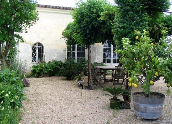 Chateau Belles Graves Bed and Breakfast Pomérols Εξωτερικό φωτογραφία