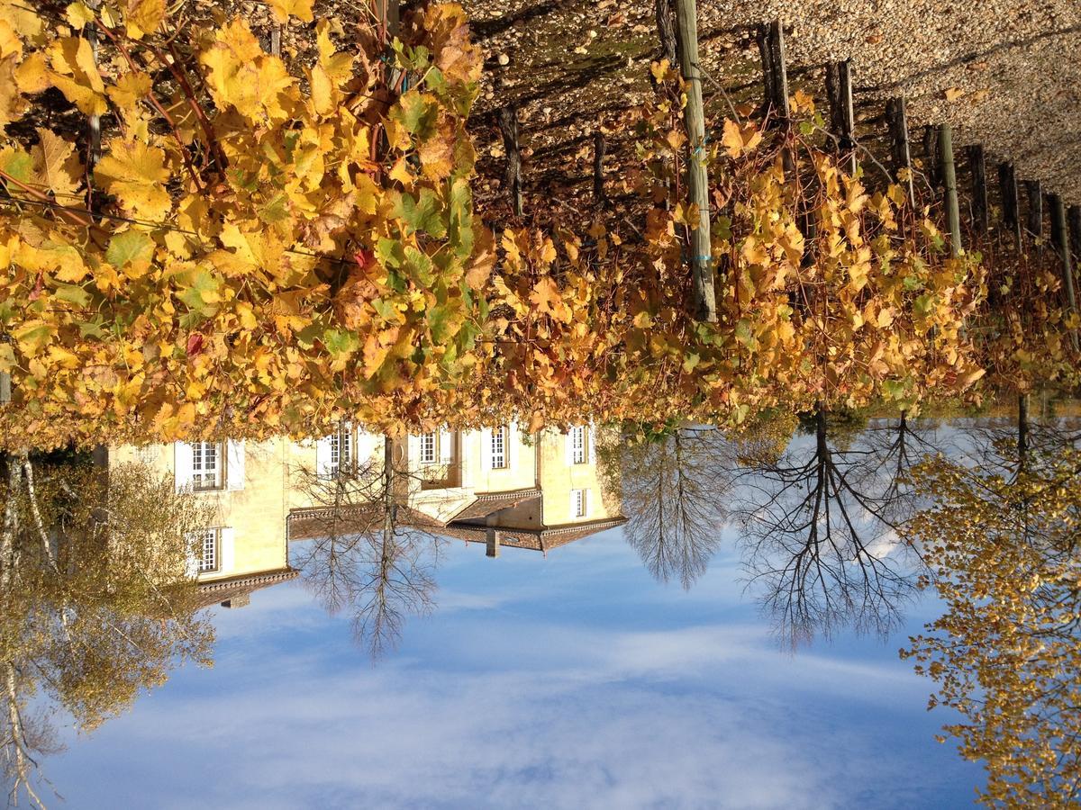 Chateau Belles Graves Bed and Breakfast Pomérols Εξωτερικό φωτογραφία